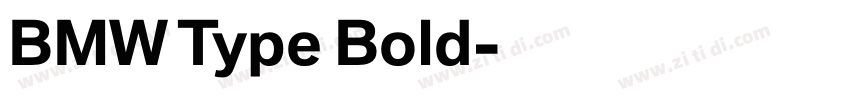 BMW Type Bold字体转换 BMW Type Bold字体转换